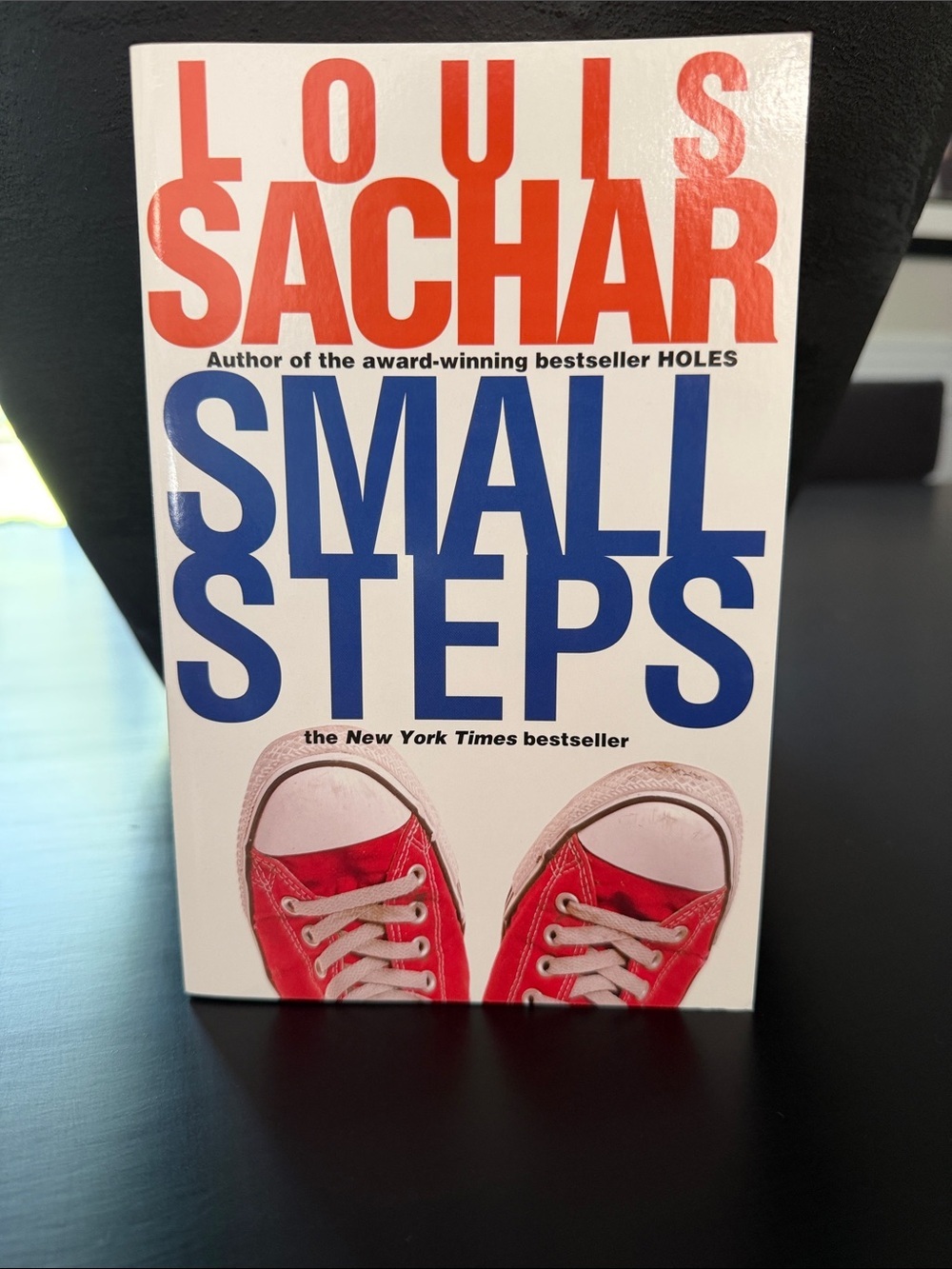 Small Steps Kids Book by Louis Sachar